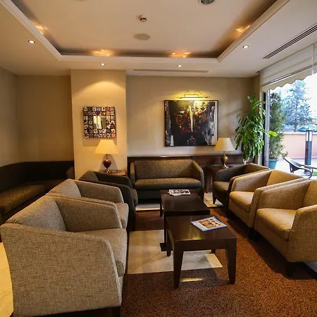 酒店 King Cankaya 安卡拉